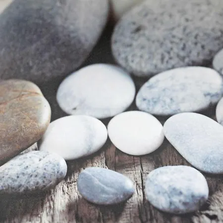 Haus Moewe - Apt. 03 公寓 *